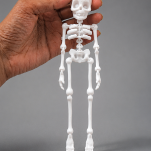 Mini Skeleton Aquarium Decoration
