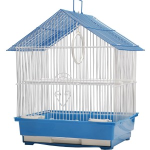 Birds Case