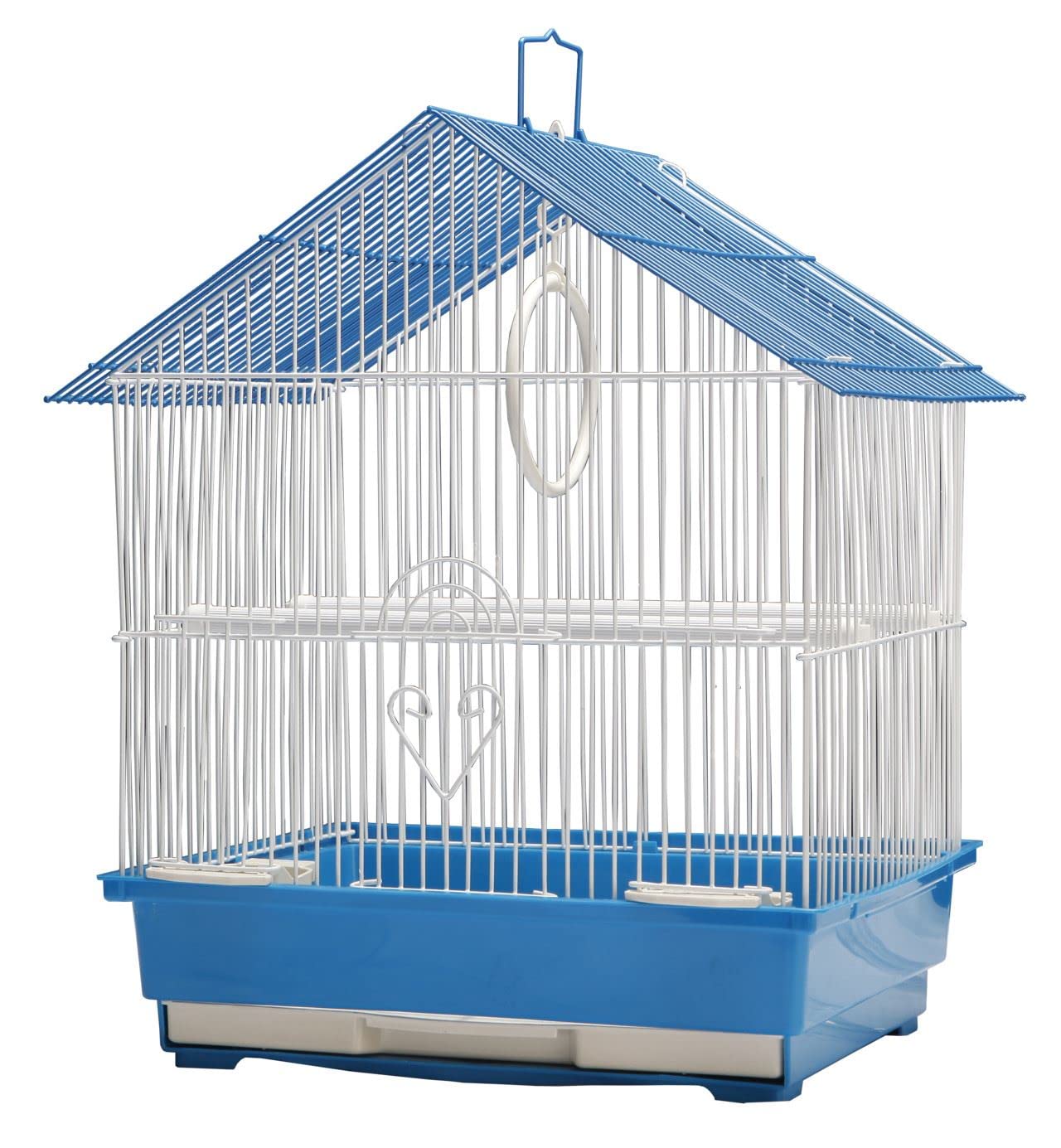 Birds Case