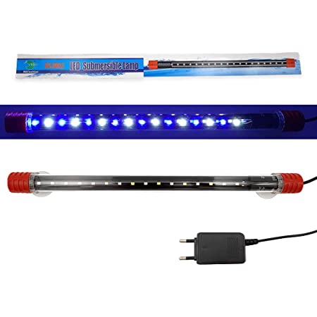 LED Lamp(300LE)