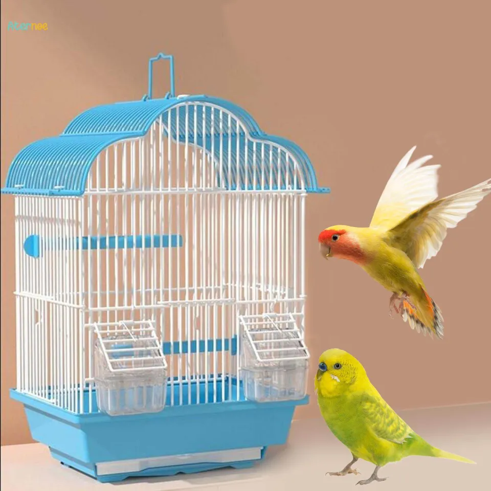 Birds Case (10*12color)