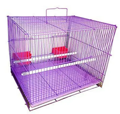 Birds Case (20*16color)