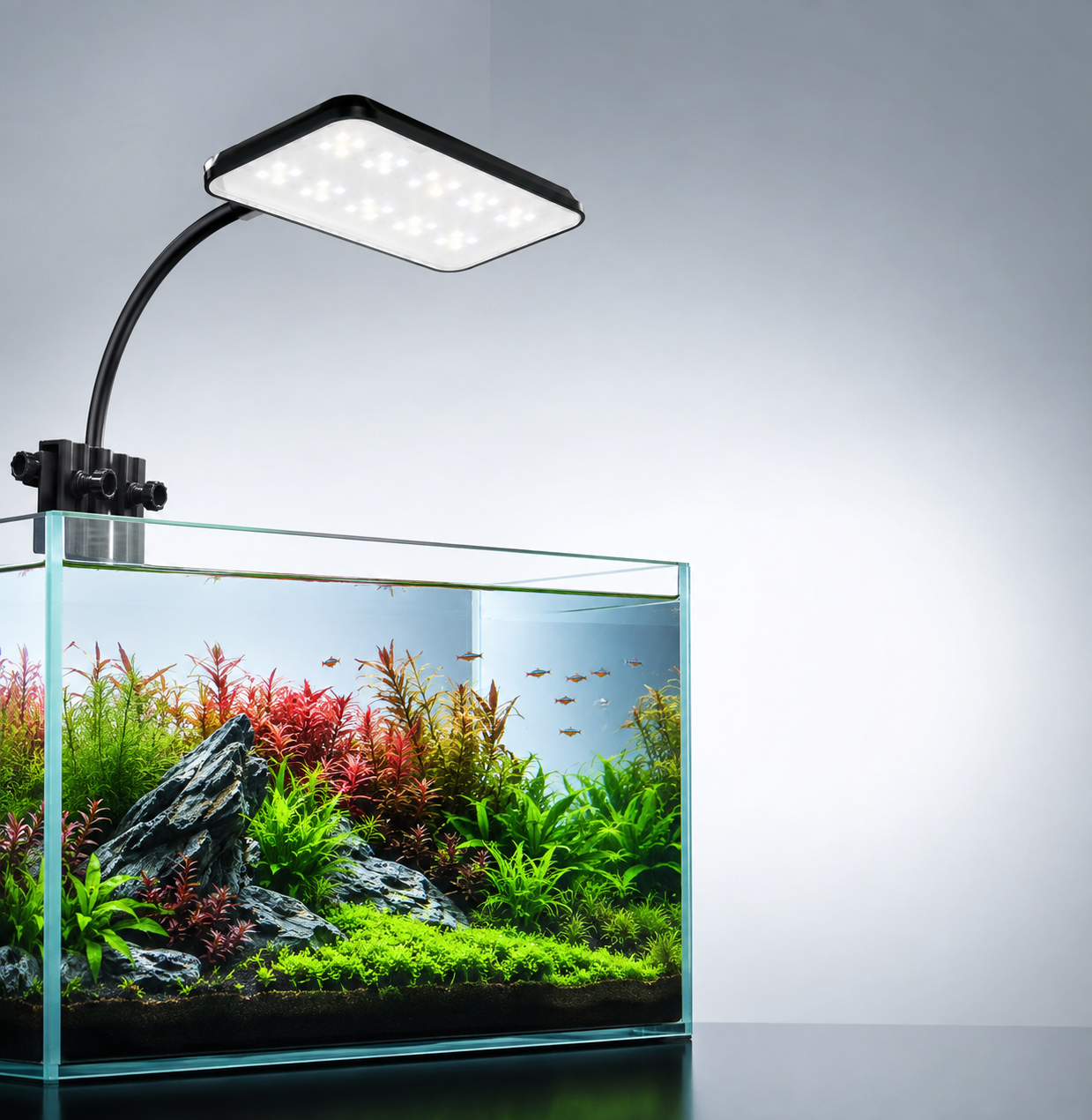 DEYAO CF-02+ Full Spectrum LED Aquarium Light – 13W